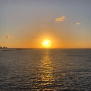 Meet your Posher, Shelley